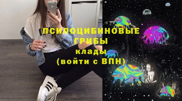 Альфа ПВП Алзамай