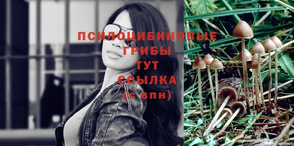 МДПВ Алексин
