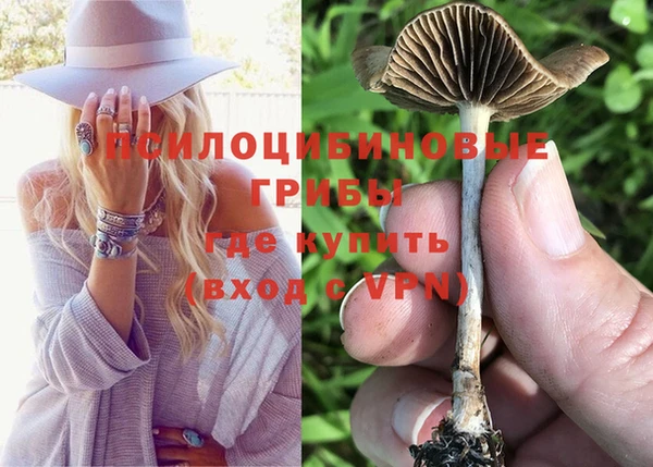 МДПВ Алексин