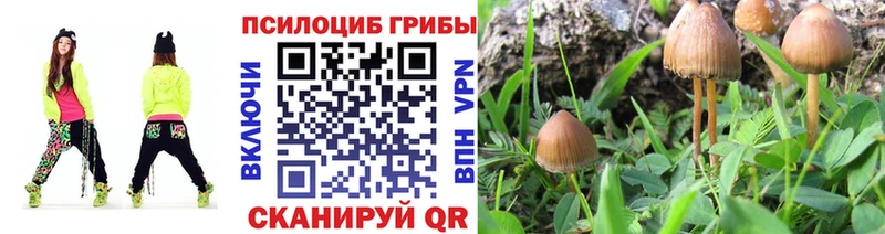 Псилоцибиновые грибы Psilocybe  Ликино-Дулёво 